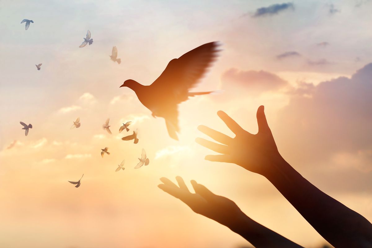 shutterstock_621710960