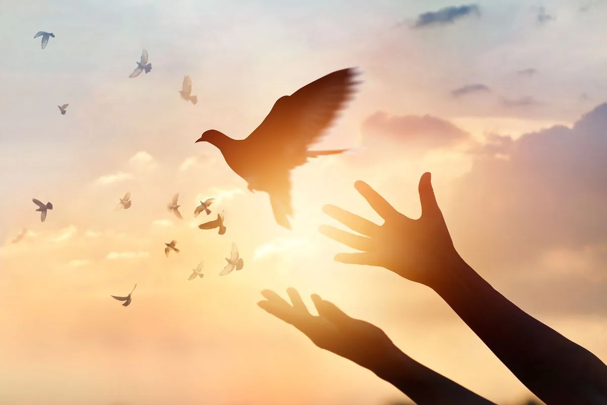 shutterstock_621710960