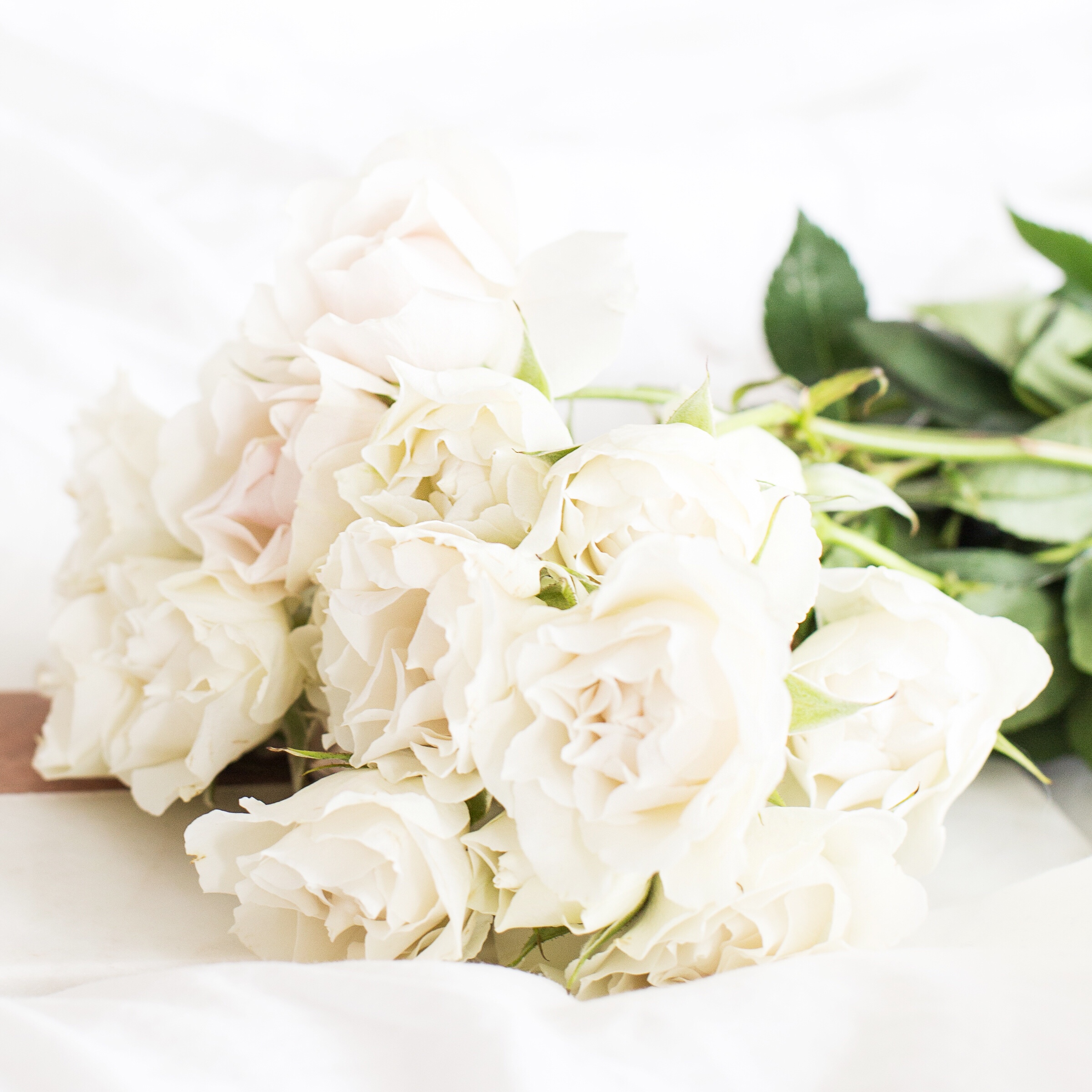 haute-stock-photography-opt-in-freebie-4