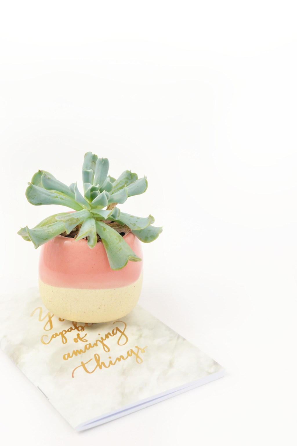 I face the day with anticipation and&nbsp;interest.