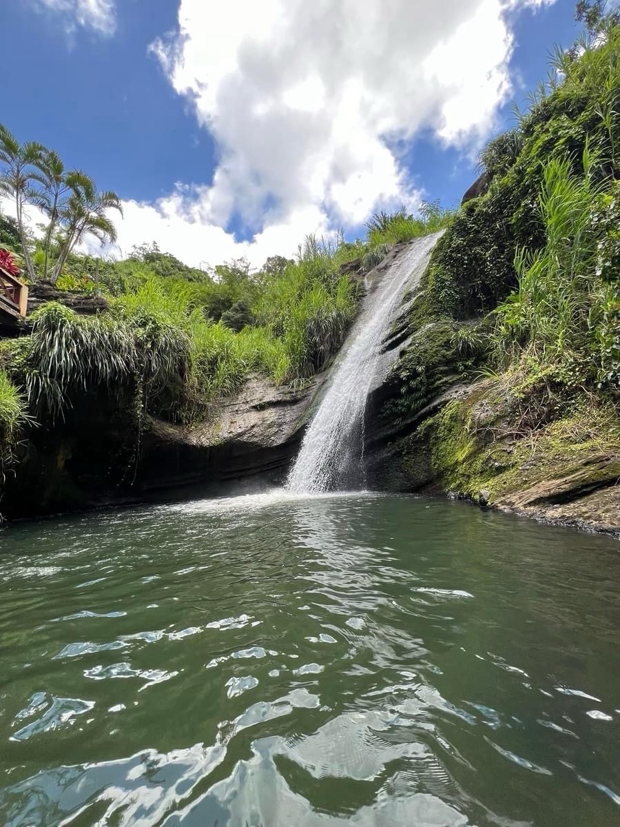 Choosing Peace: My Journey Toward a New Life&nbsp;Abroad